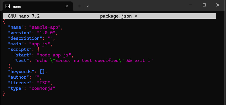 package.json with start script