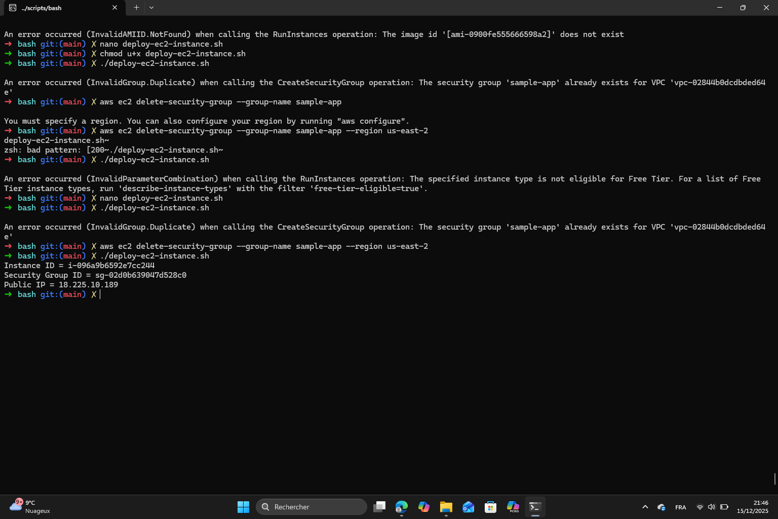 Bash script execution