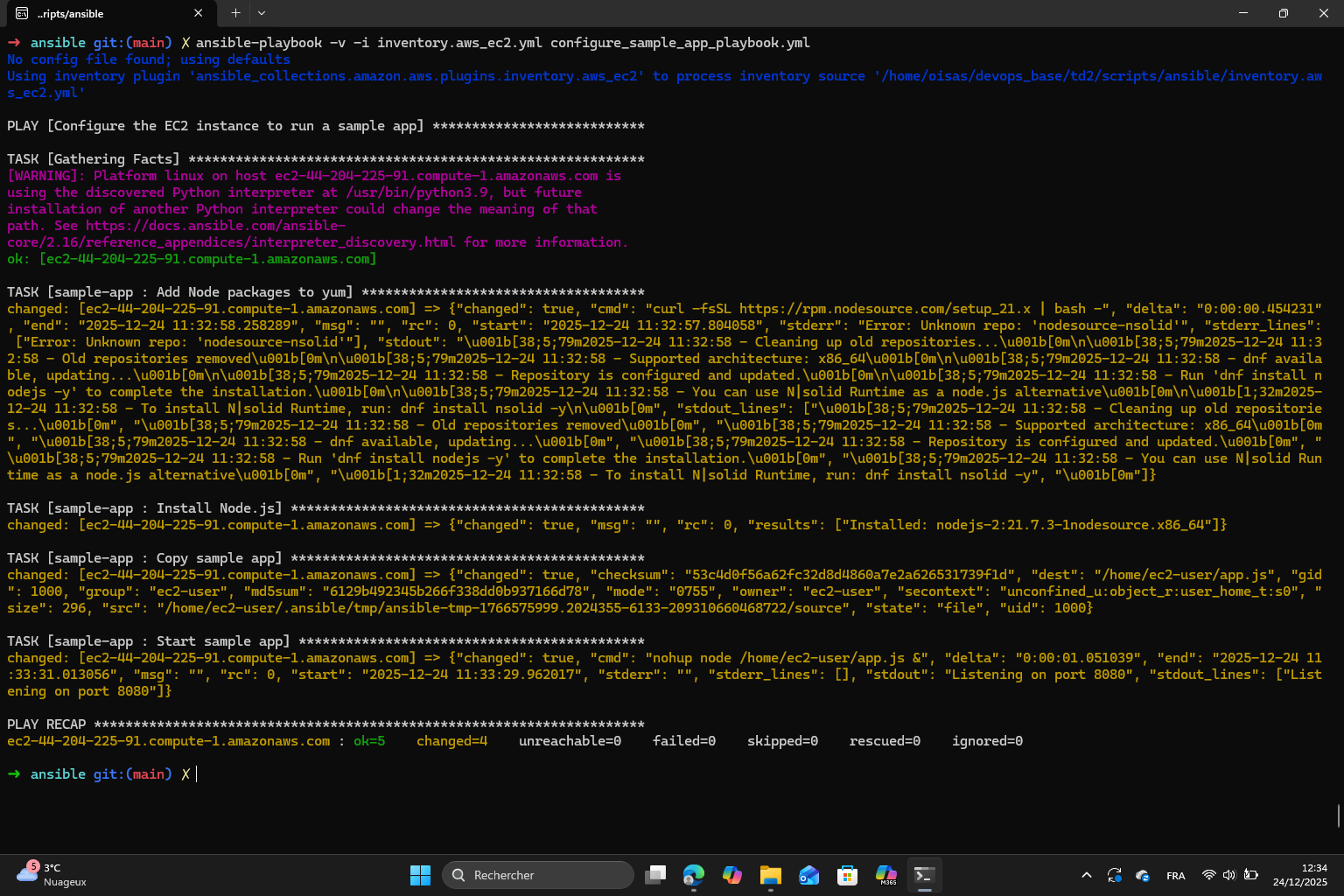 Ansible playbook result