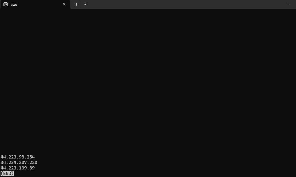 Public IPs retrieved