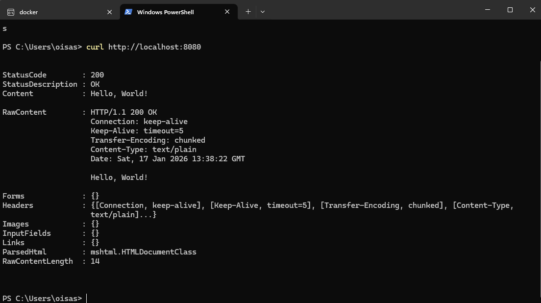 curl response from Docker container